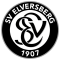 elvlogo